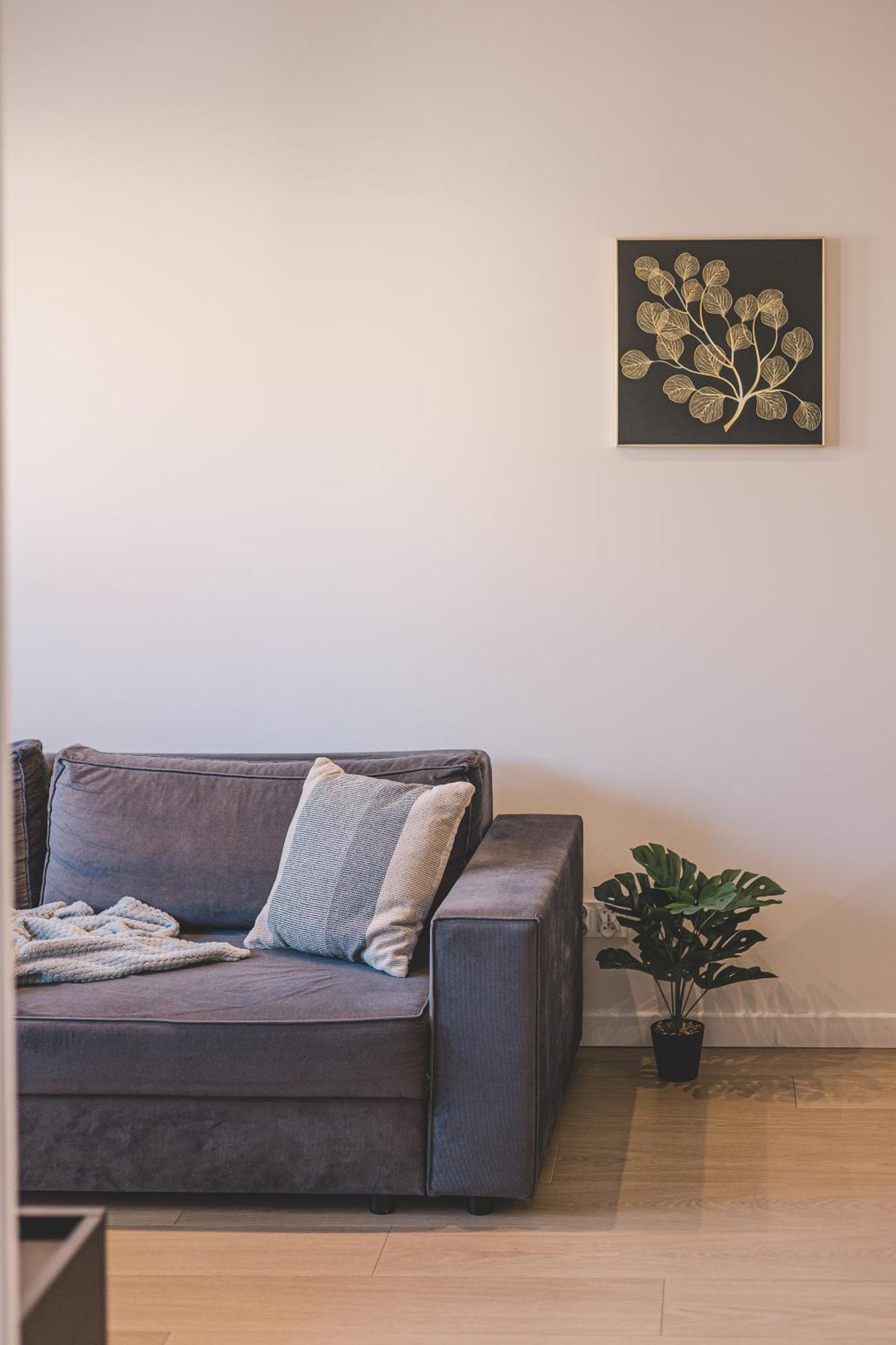 2Homerent Babia Wies 12 Bydgoszcz Eksteriør billede